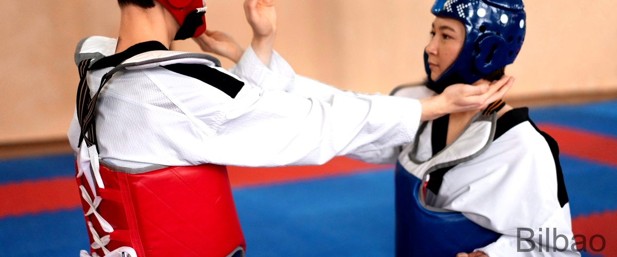 Las 7 mejores clases de Taekwondo en Bilbao