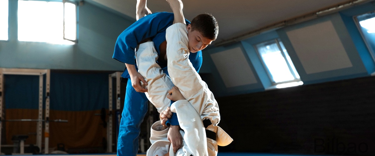 Las 13 mejores clases de Judo para adultos en Bilbao