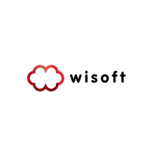 Wisoft - Desarrollo Web